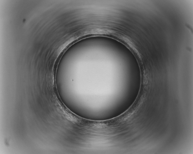 X0000101980837200807251231