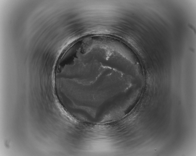 X0000101980840200807251231