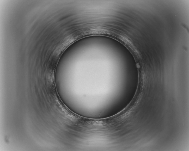 X0000101980841200807251231