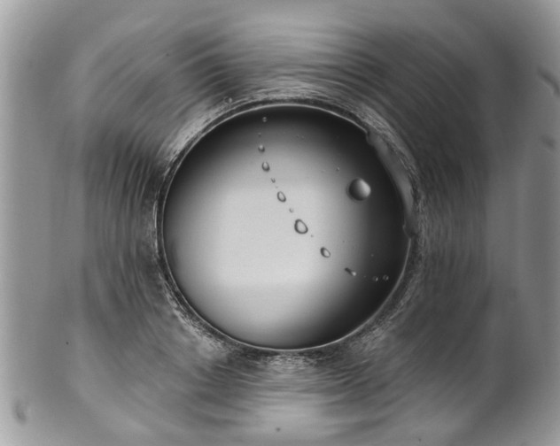 X0000101980842200807251231