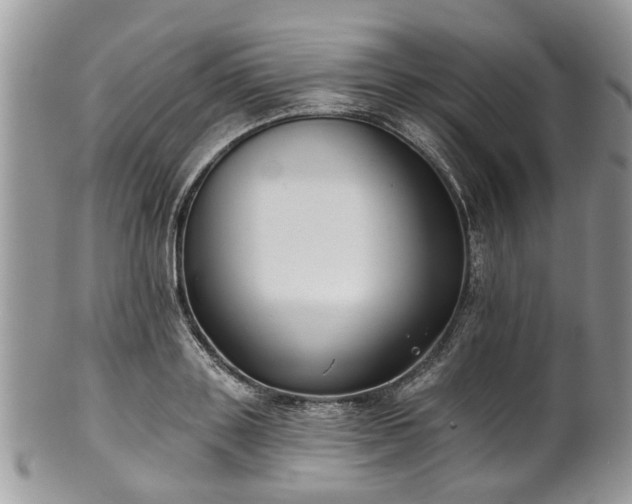 X0000101980843200807251231