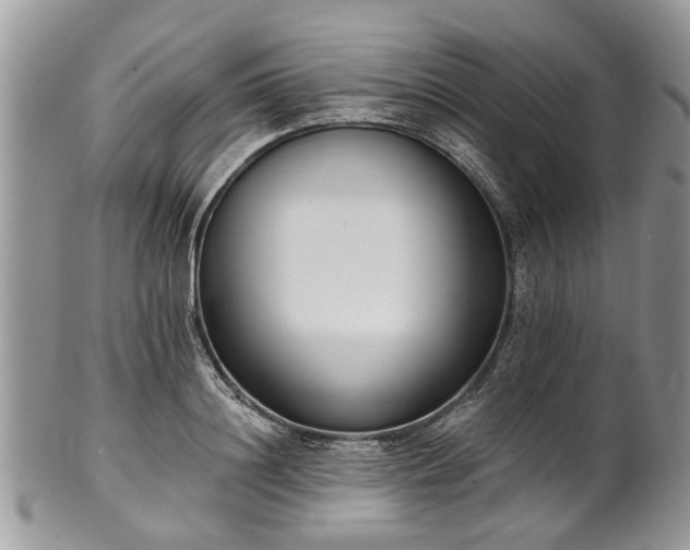 X0000101980844200807251231