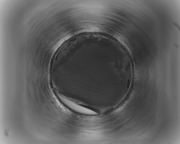 X0000101980845200807251232