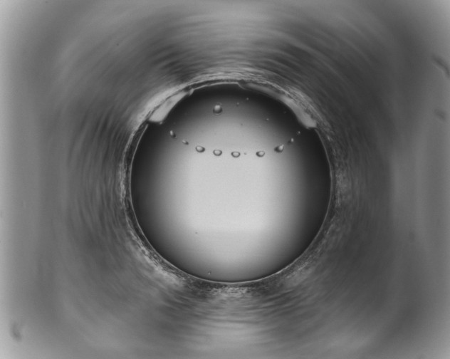 X0000101980846200807251232