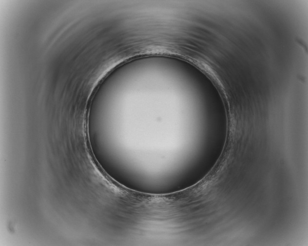 X0000101980847200807251232