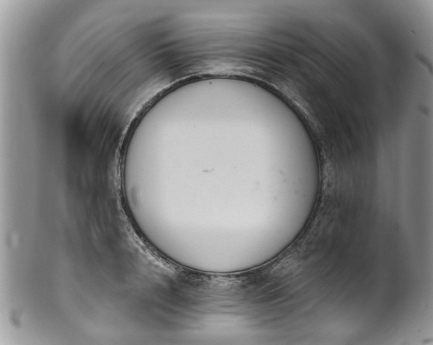 X0000101980848200807251232