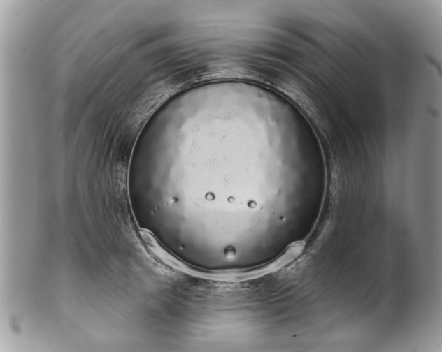 X0000101980849200807251232