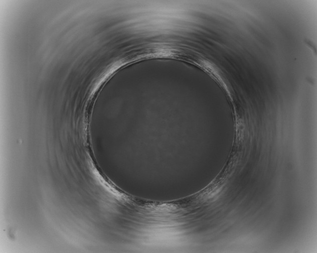 X0000101980851200807251232