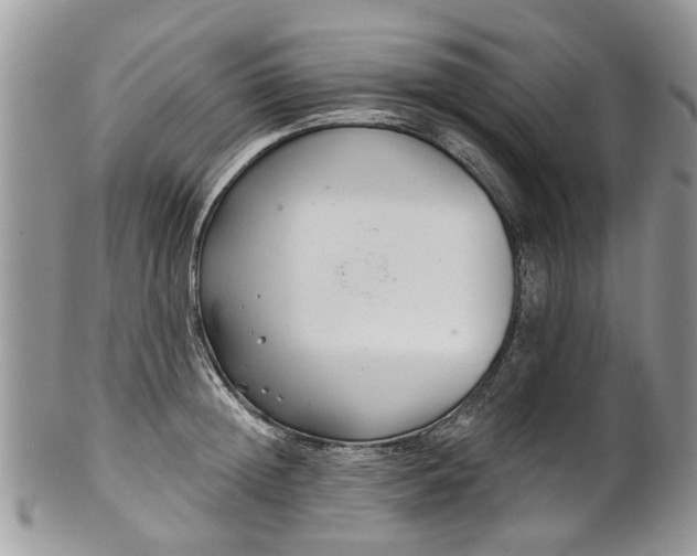 X0000101980852200807251232