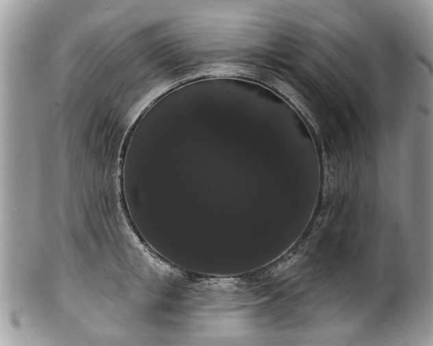 X0000101980853200807251232