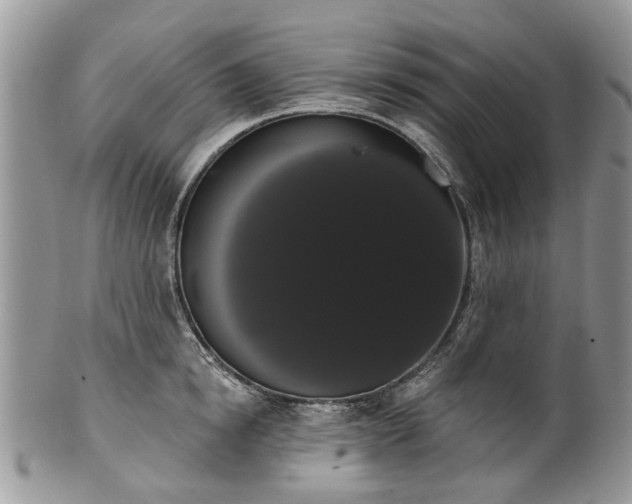 X0000101980854200807251232