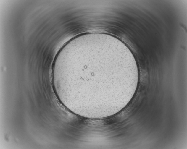 X0000101980856200807251232