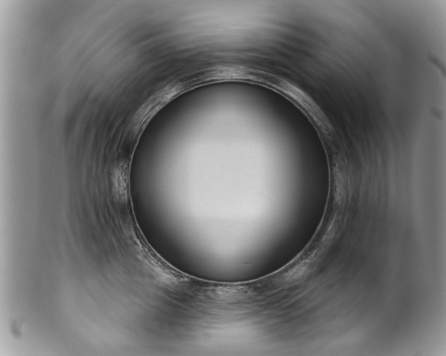 X0000101980857200807251232