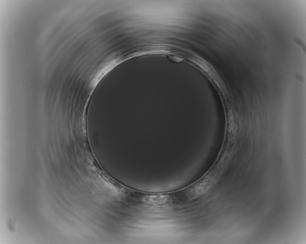 X0000101980858200807251232