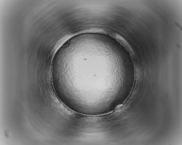 X0000101980860200807251232