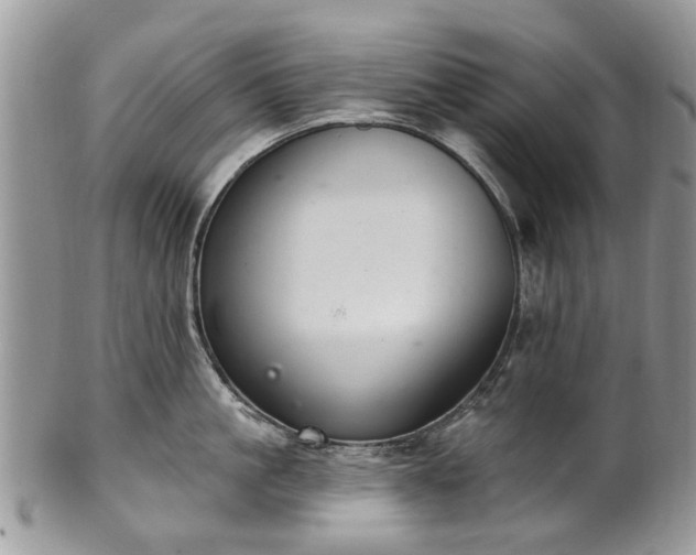 X0000101980861200807251232