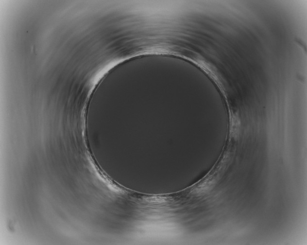 X0000101980862200807251232