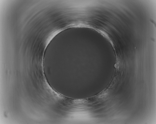 X0000101980863200807251232