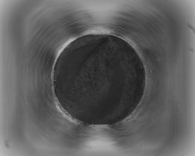 X0000101980864200807251232