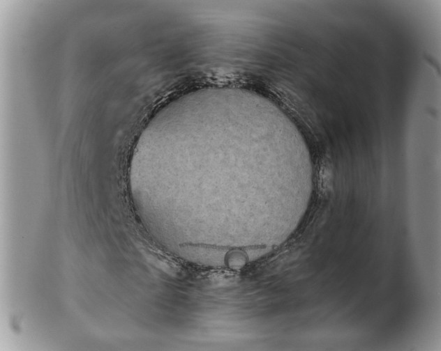 X0000101980865200807251231