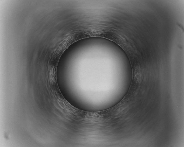 X0000101980866200807251231