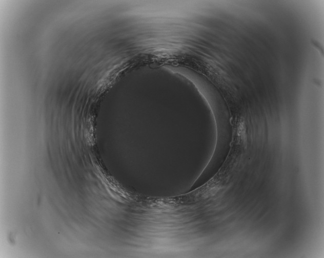 X0000101980868200807251231