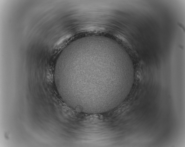 X0000101980869200807251231