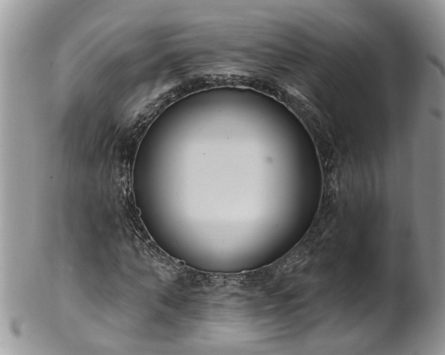 X0000101980870200807251231