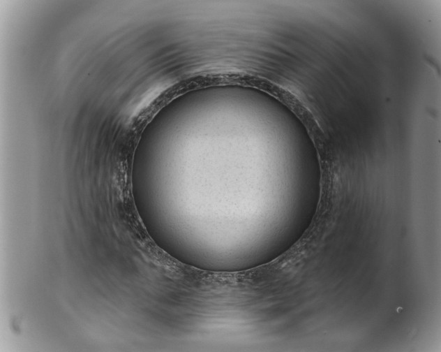 X0000101980871200807251231