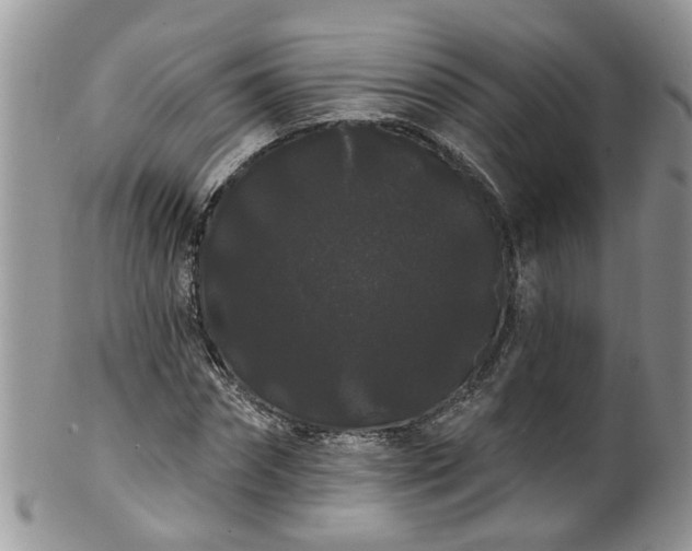 X0000101980874200807251231