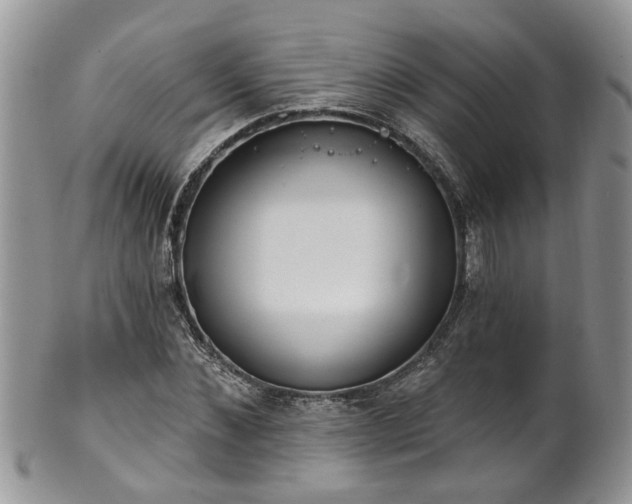 X0000101980876200807251231