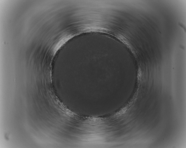 X0000101980877200807251231