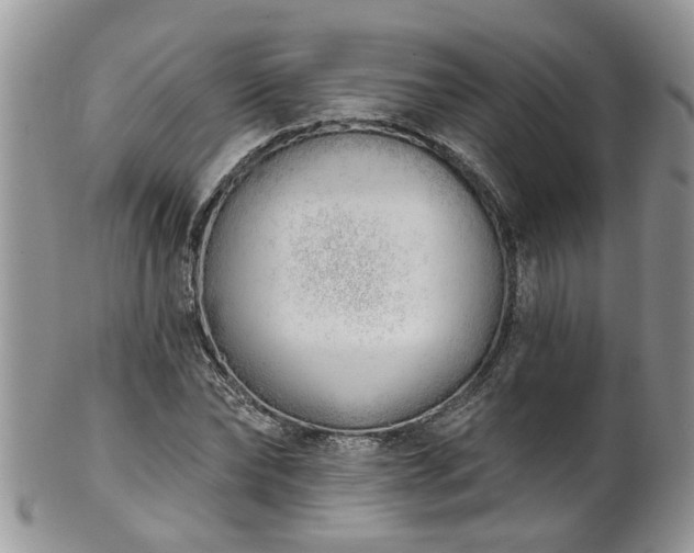 X0000101980878200807251231