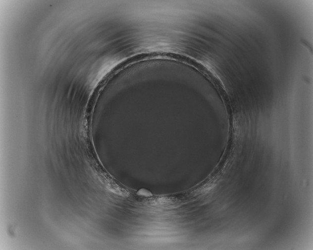 X0000101980879200807251231