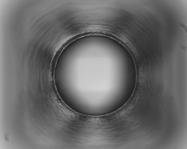 X0000101980880200807251231