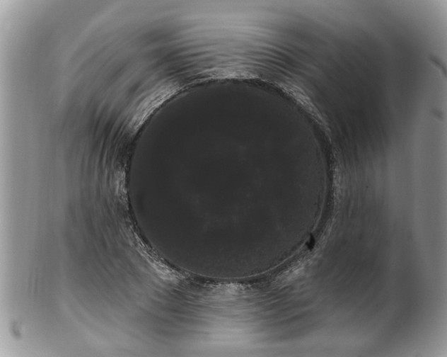 X0000101980881200807251231