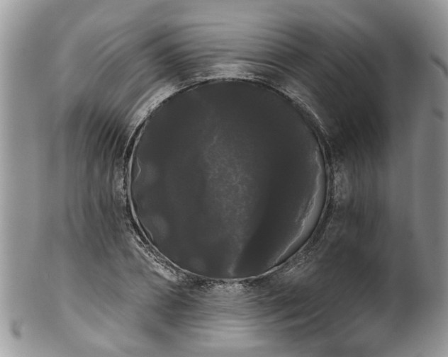 X0000101980882200807251231