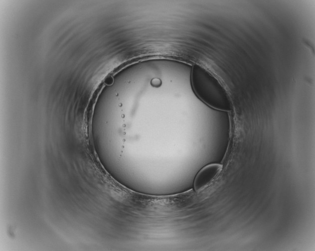 X0000101980883200807251231