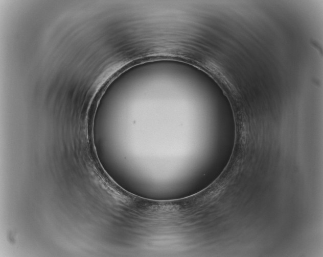 X0000101980884200807251231