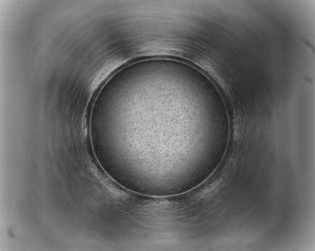 X0000101980885200807251231