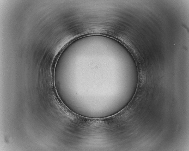 X0000101980886200807251231