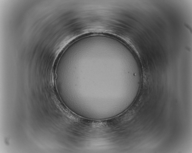 X0000101980887200807251231