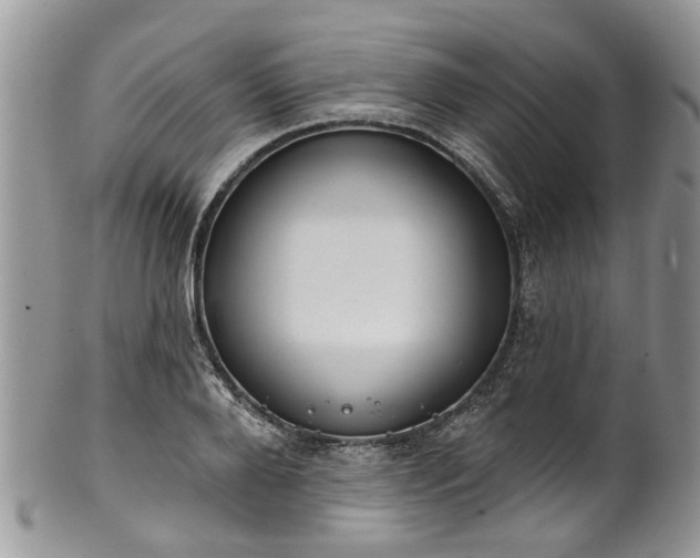 X0000101980888200807251231