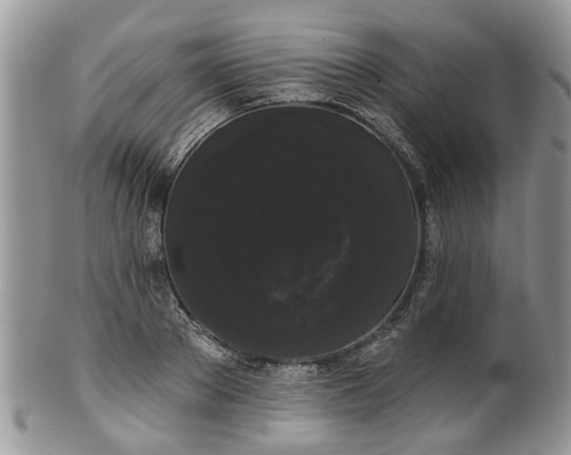 X0000101980889200807251231