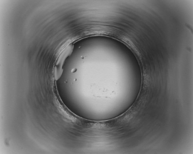 X0000101980890200807251231