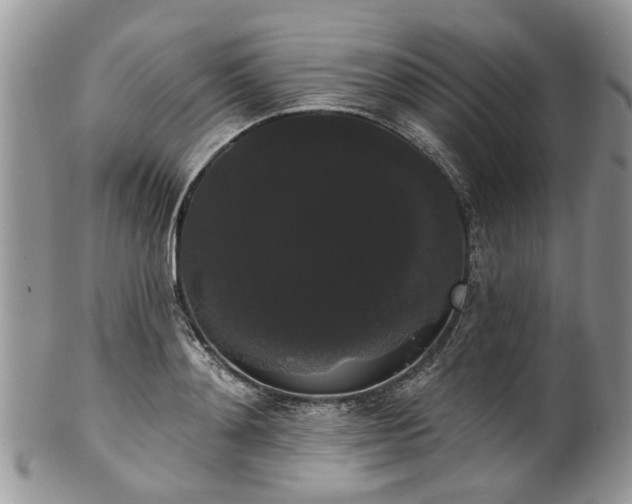 X0000101980892200807251231