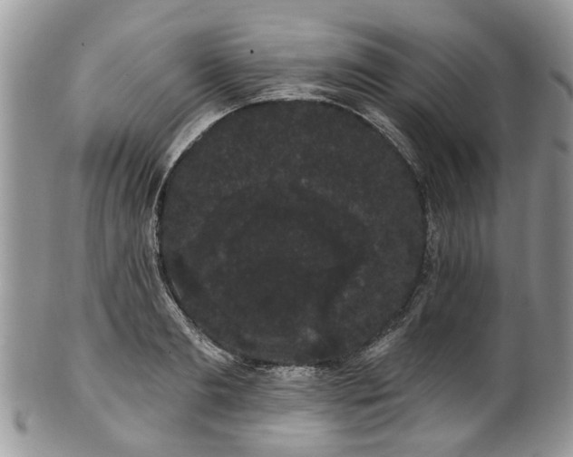 X0000101980893200807251231