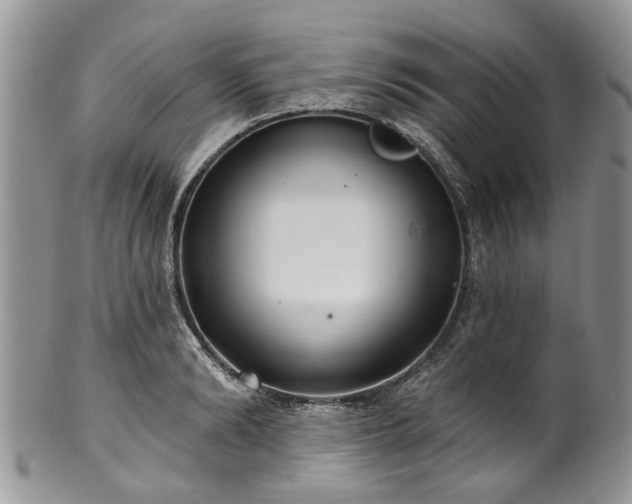 X0000101980894200807251231