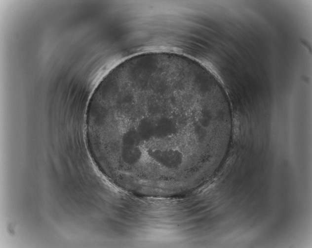 X0000101980895200807251231