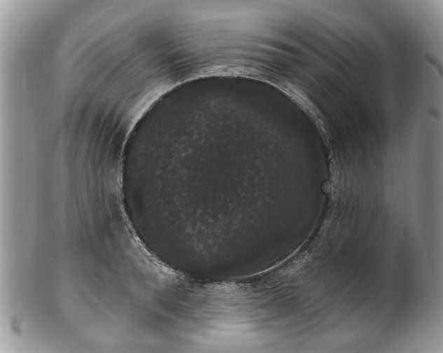 X0000101980896200807251231